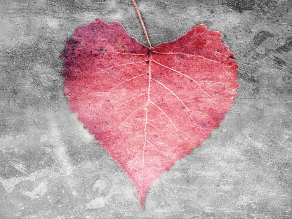 Art Print: Love Leaves