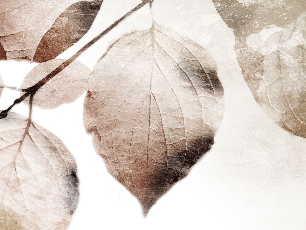 Art Print: Soft Neutral Leaves