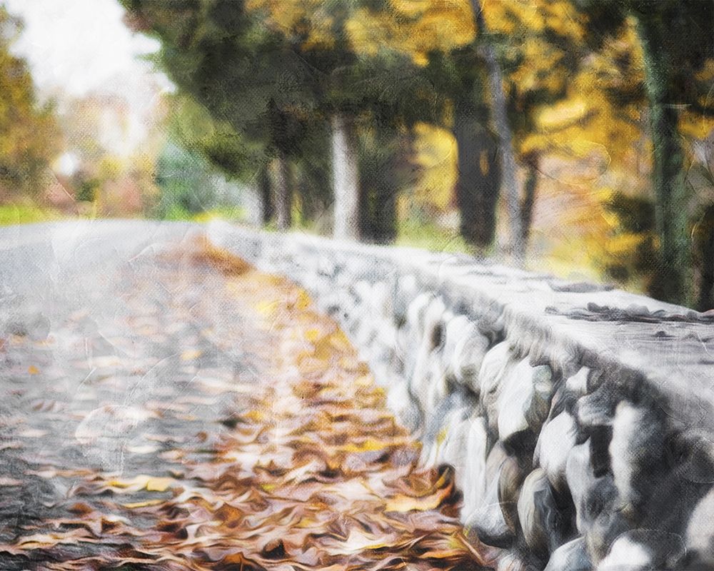 Art Print: Leaves On The Road