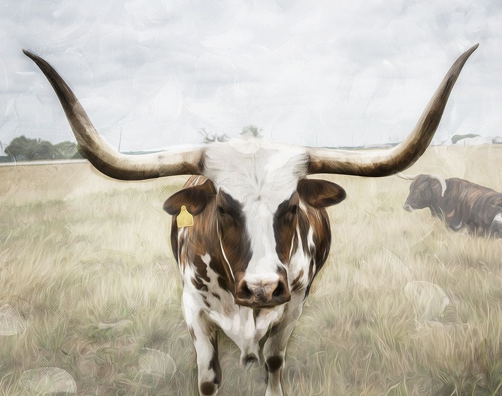 Art Print: Steer the Herd