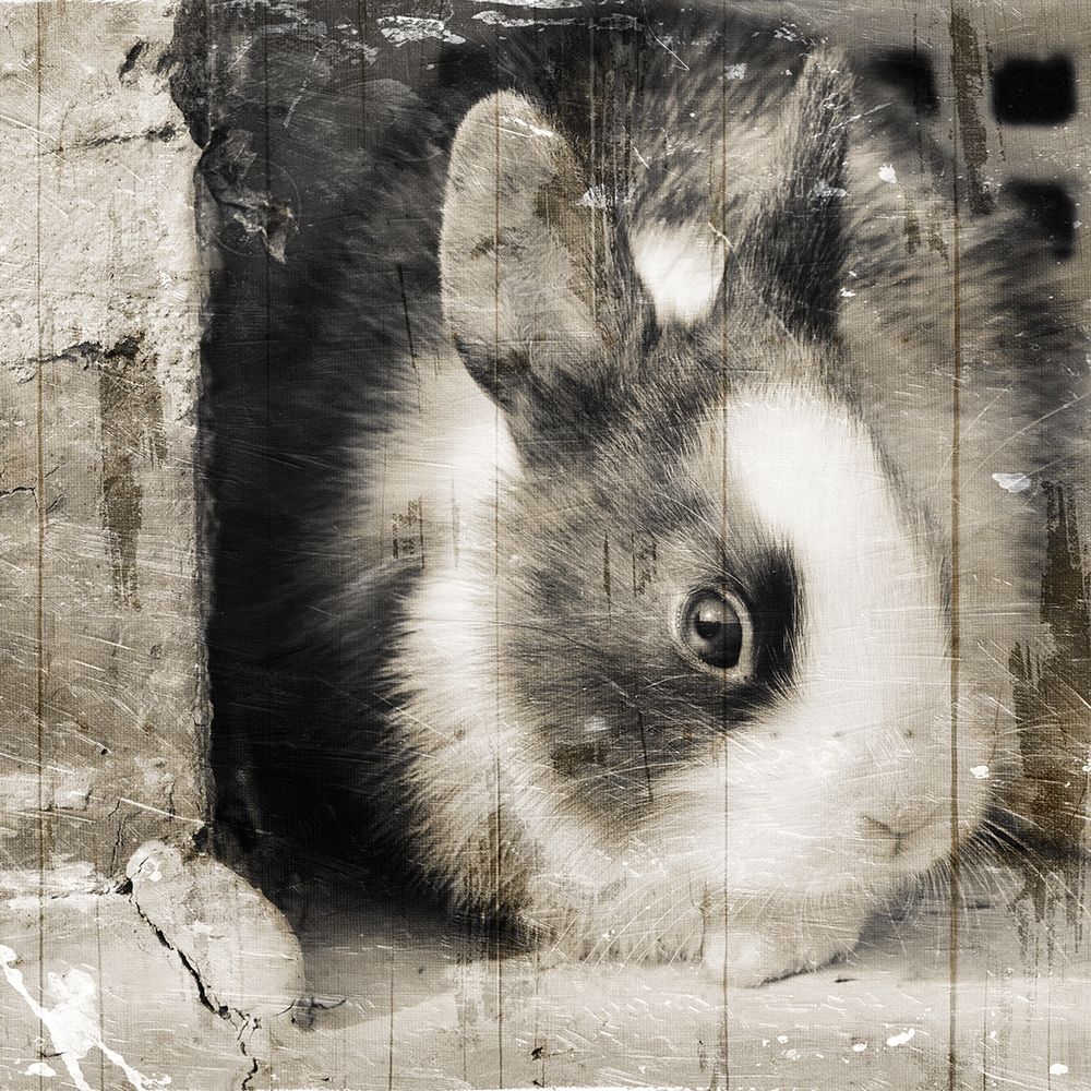 Art Print: Bunny See Again