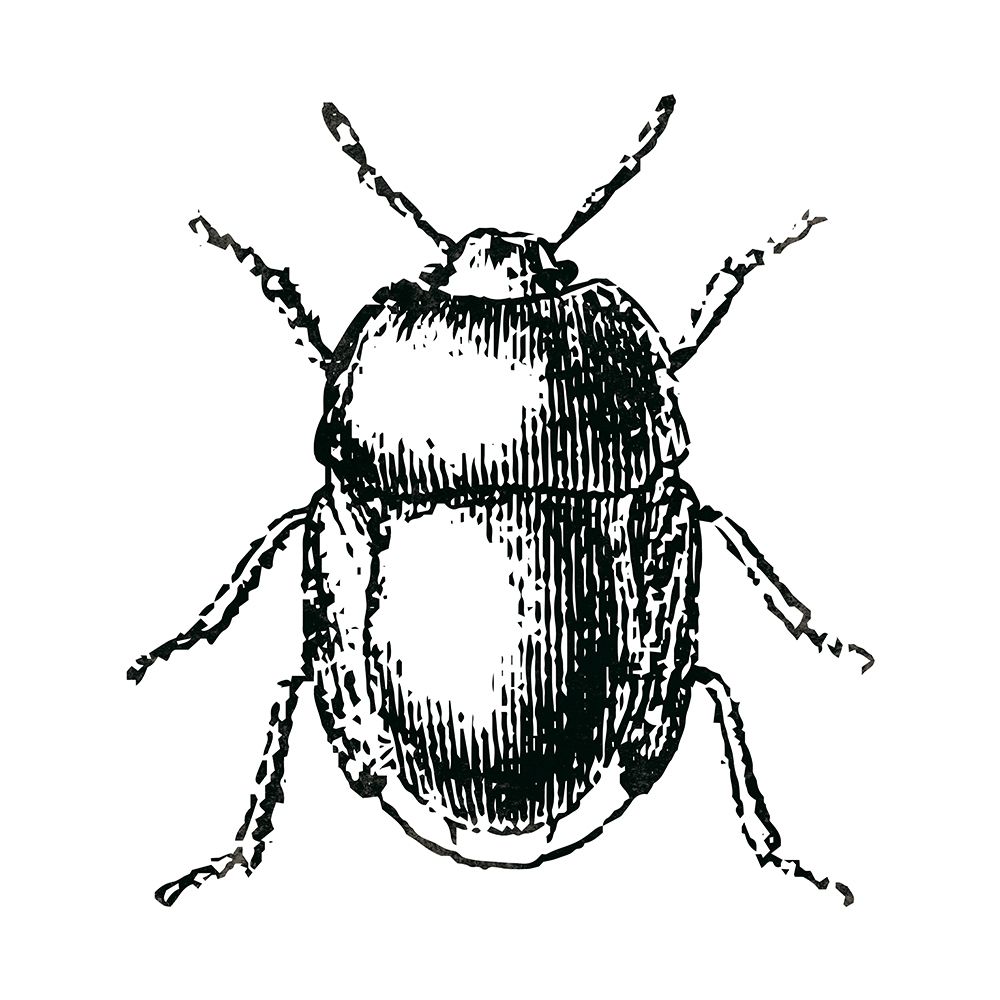 Similar wall art painting: 220994