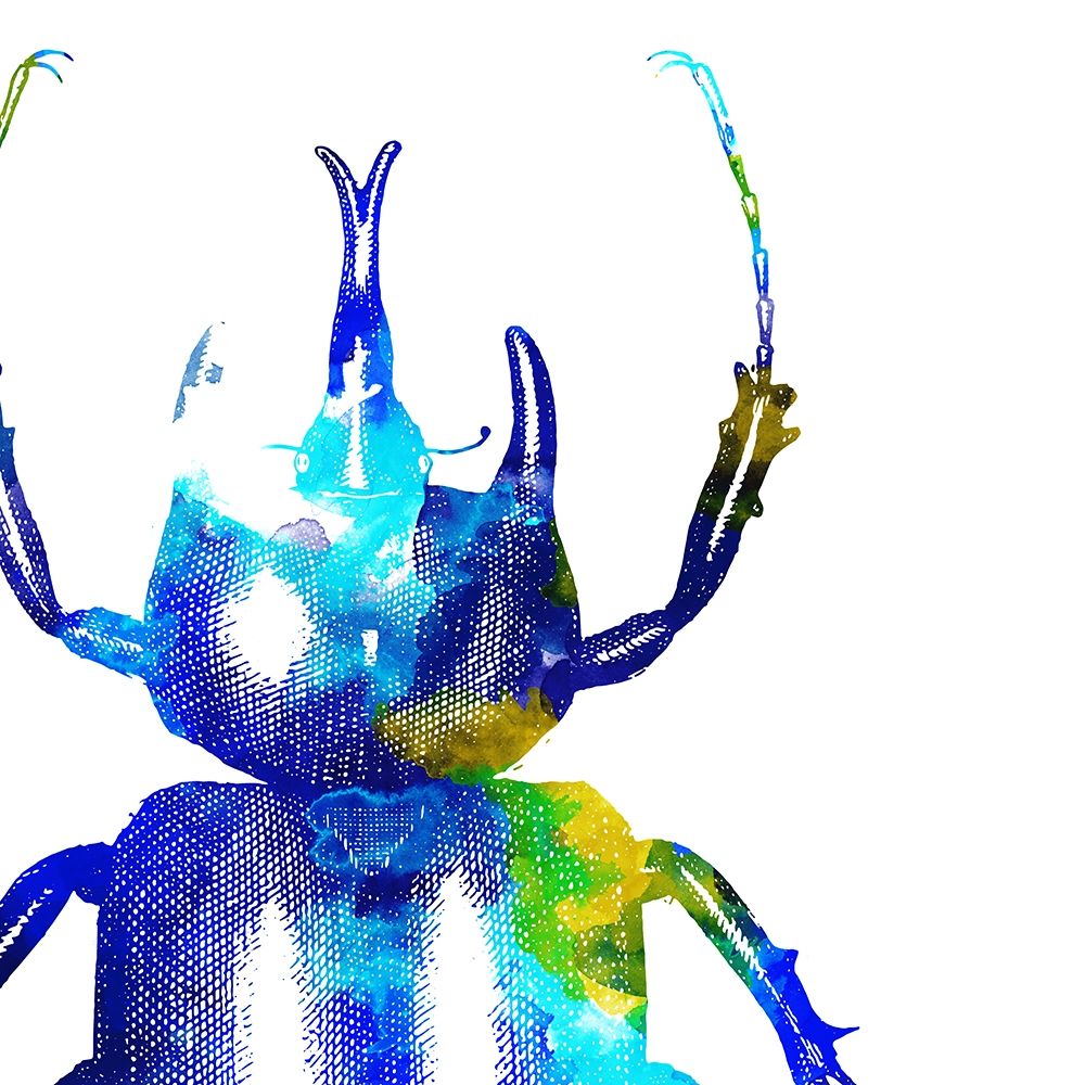 Art Print: Water Bugs