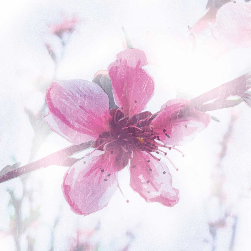 Wall Art Painting id:162230, Name: Beautiful Fog, Artist: OnRei