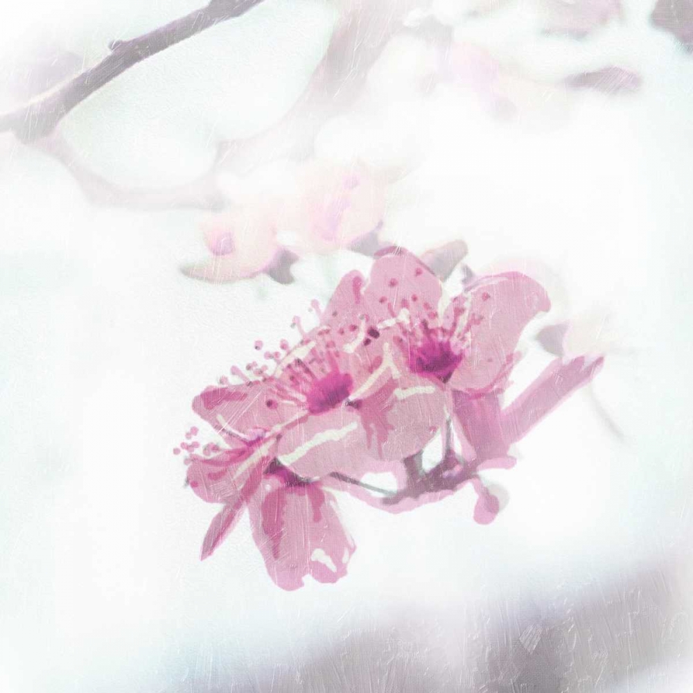 Wall Art Painting id:162231, Name: Beautiful Fog Two, Artist: OnRei