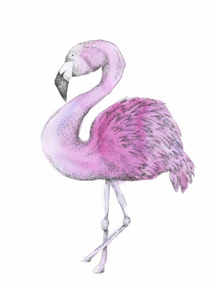 Art Print: Flamingo