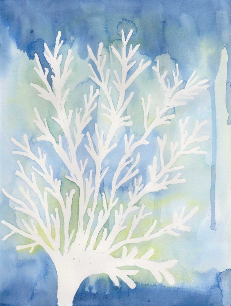 Art Print: Blue Coral