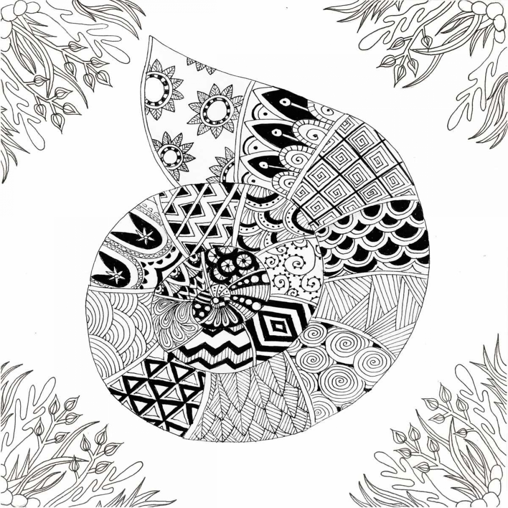 Art Print: BW Nautilus Boardered