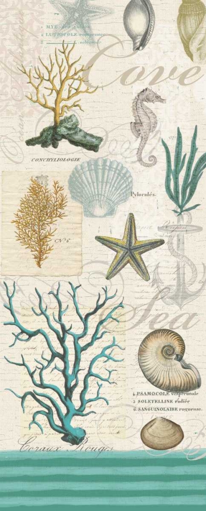 Art Print: New Beachcomber Coastal