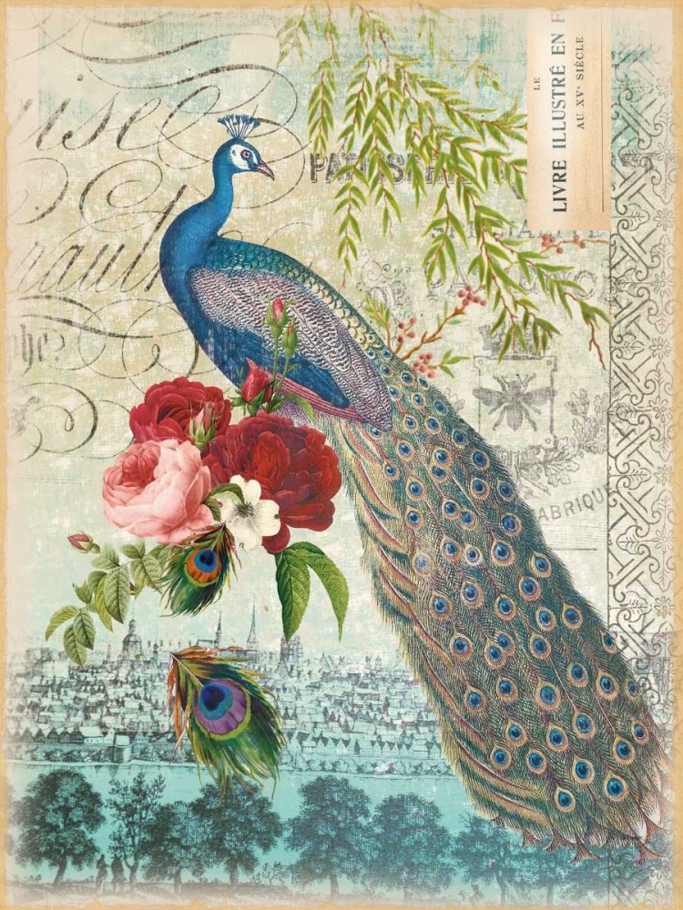 Art Print: New Peacock 1