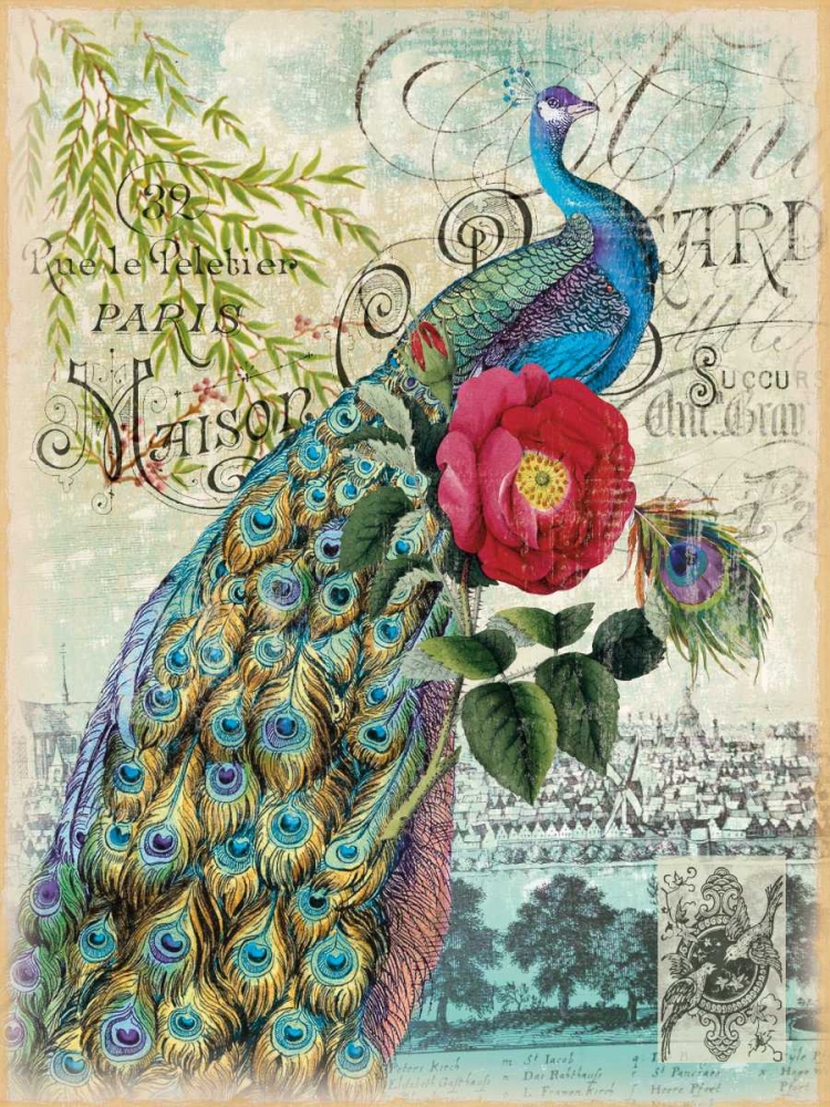 Art Print: New Peacocks 2