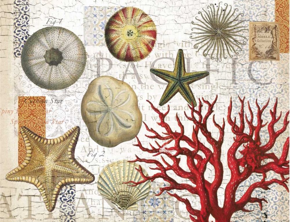 Art Print: Sea Treasures