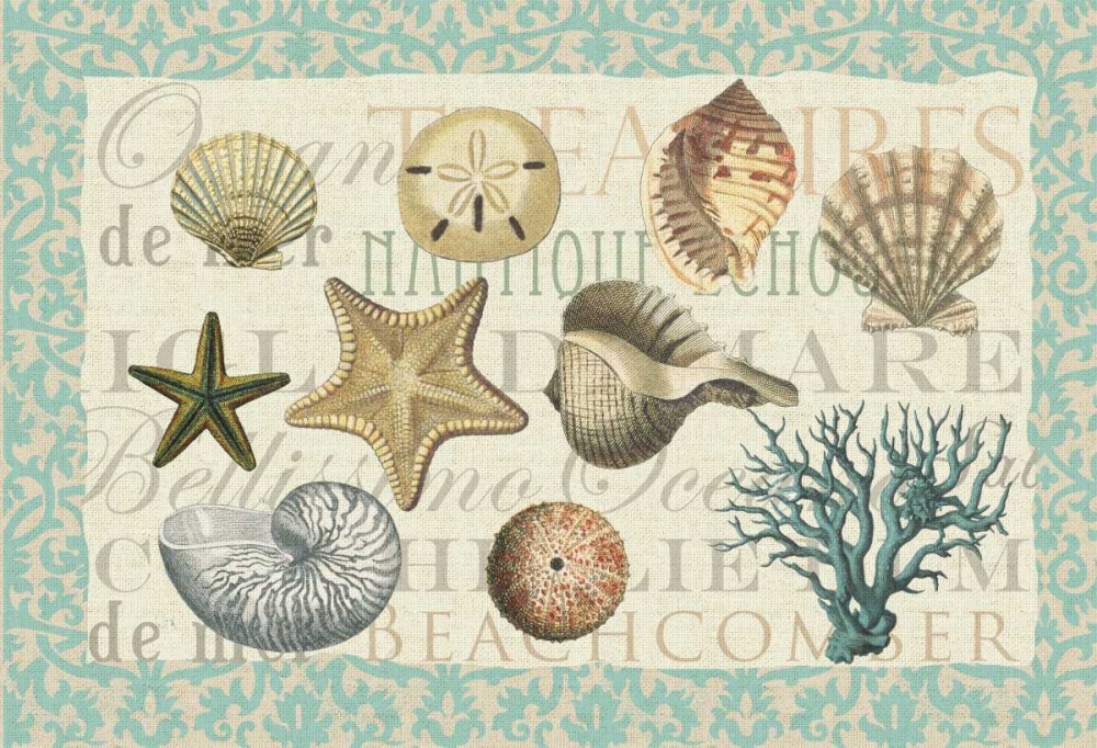 Art Print: Sea Shell Collection
