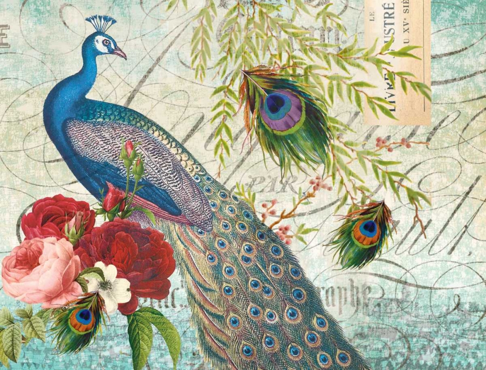 Art Print: Peacock 110