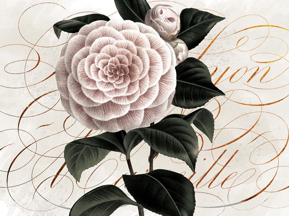 Art Print: Flower and Scrolls