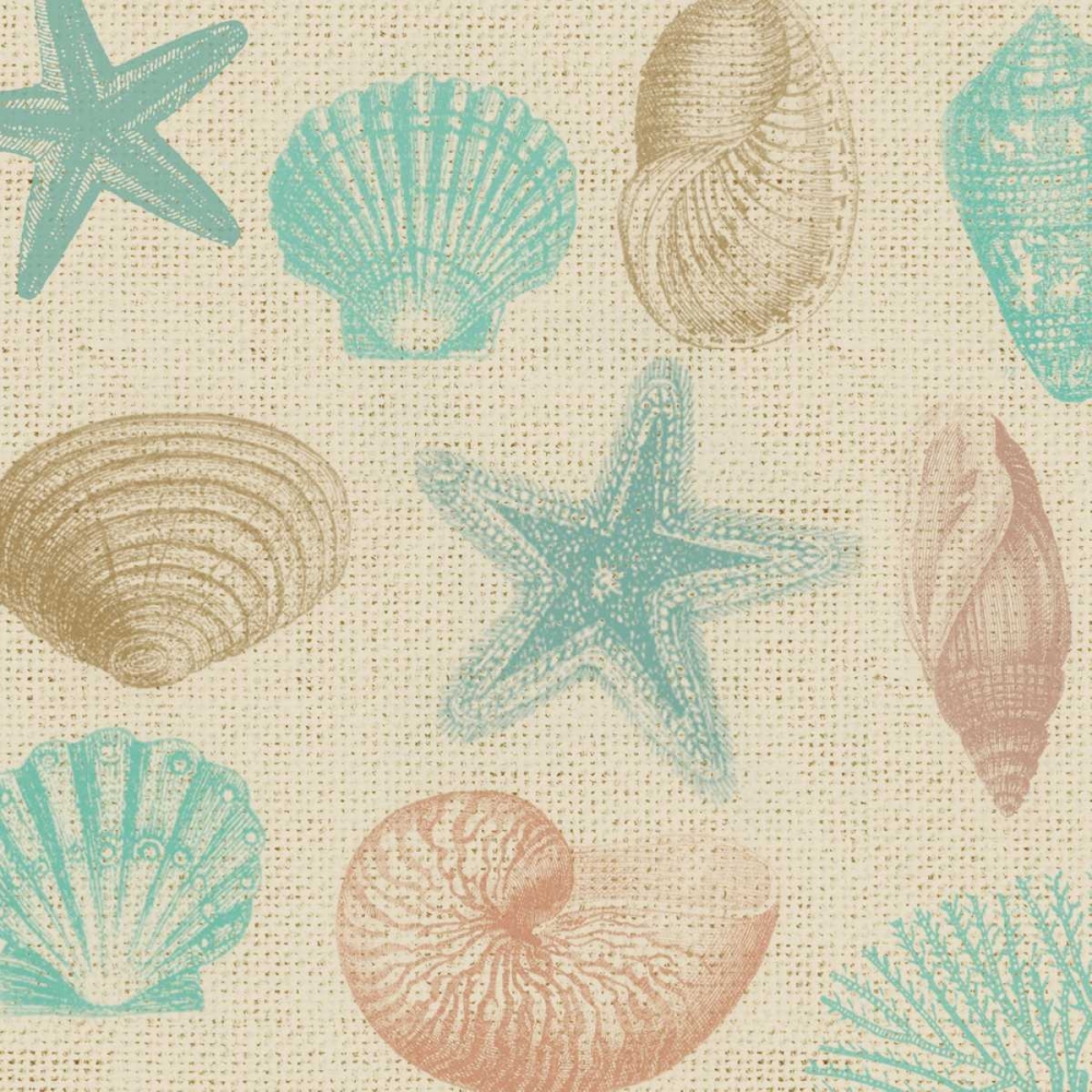 Art Print: New Beachcomber Shells 1