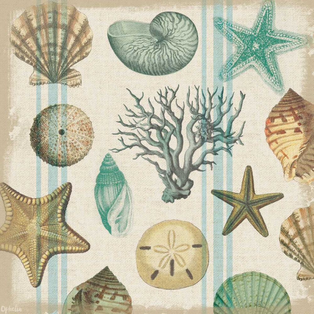 Art Print: Beachcomber 1