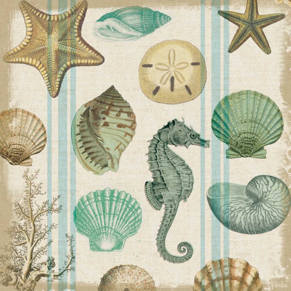 Art Print: Beachcomber 2