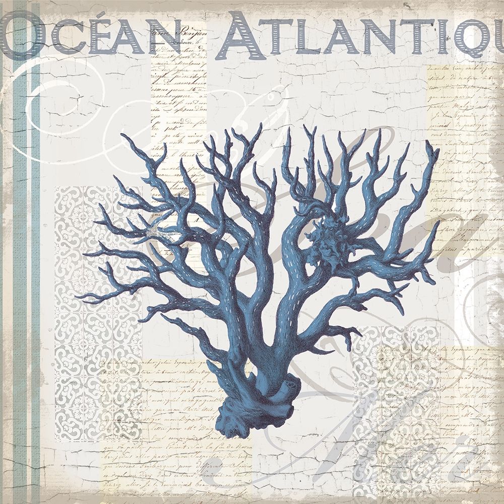 Art Print: Coastal Coral