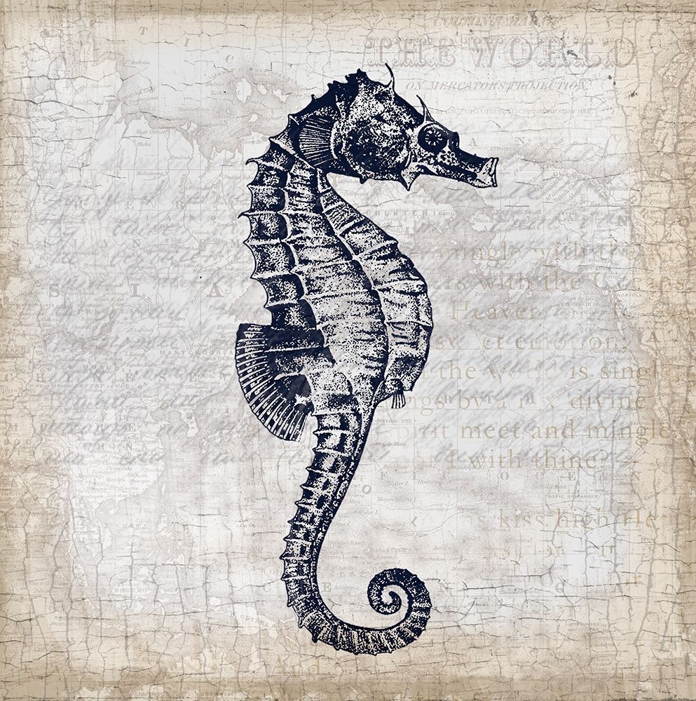 Art Print: Sea Horse On Cream