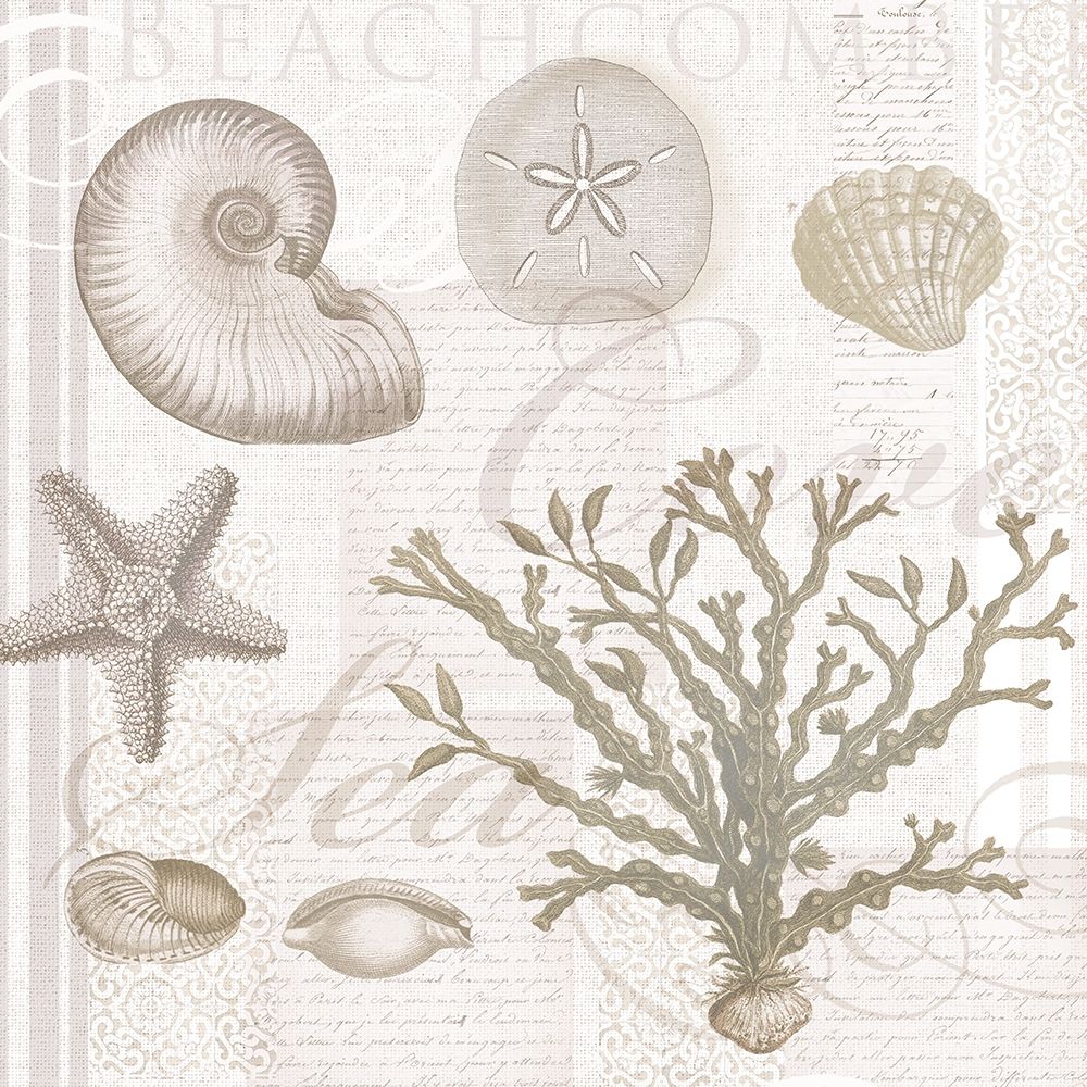 Art Print: Soft Shell Collage