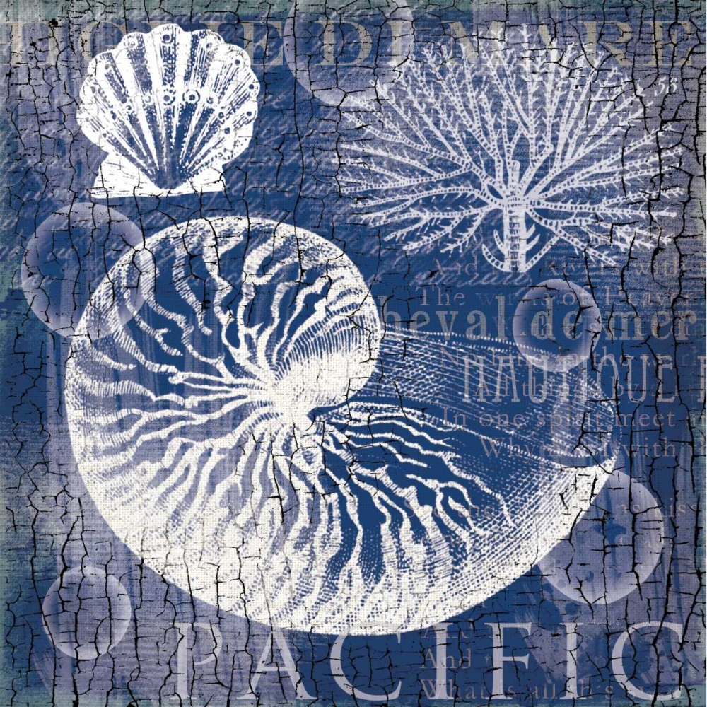 Art Print: Navy Nautilus