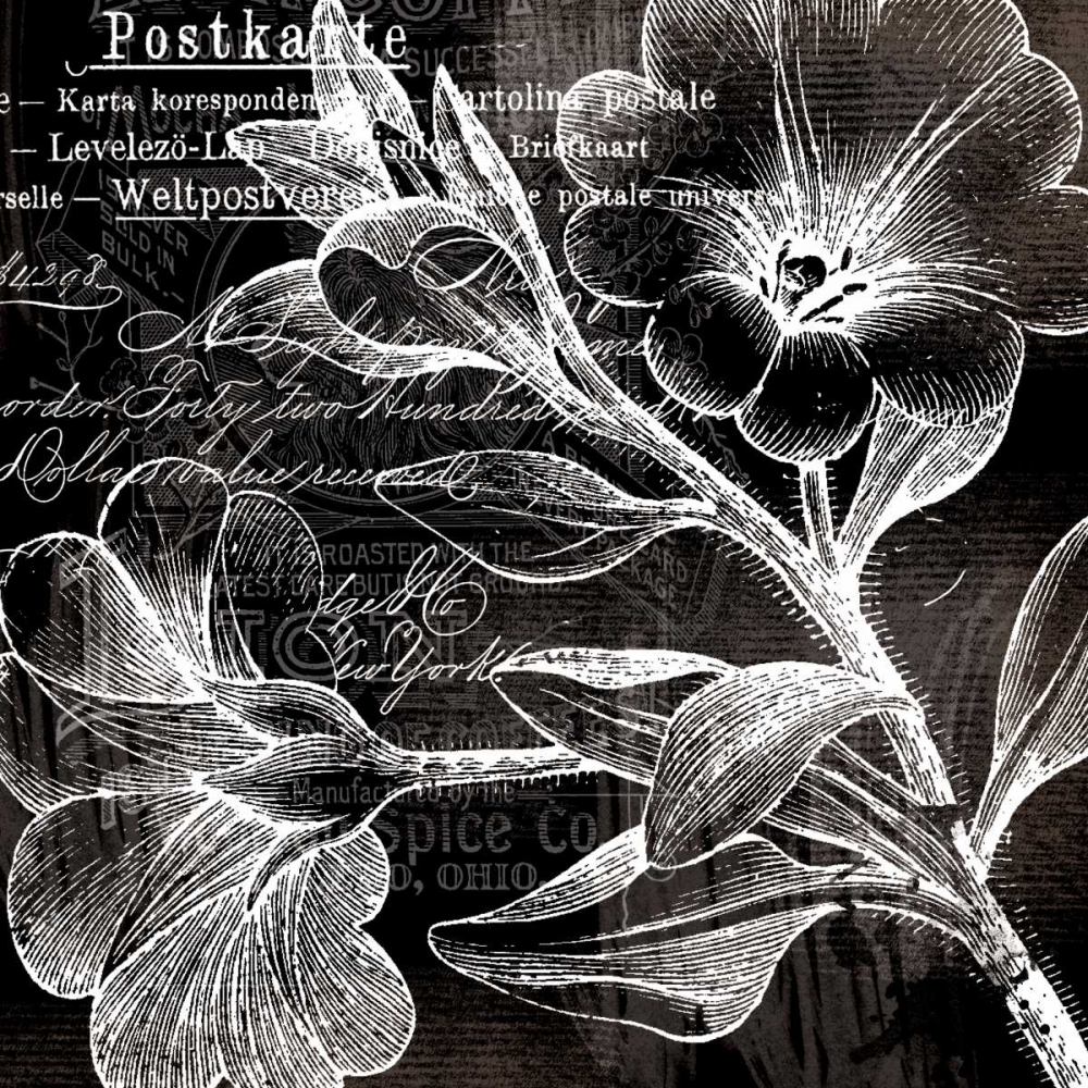 Art Print: White Trumpet Flowers