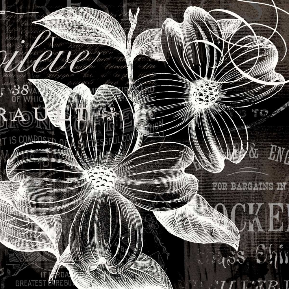 Art Print: White Fleurs