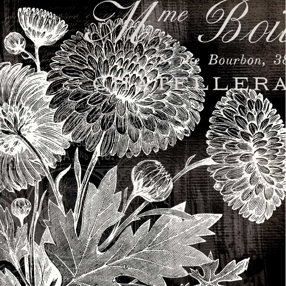 Art Print: White Mums