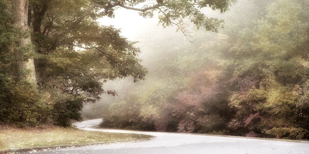 Art Print: Blue Ridge Parkway