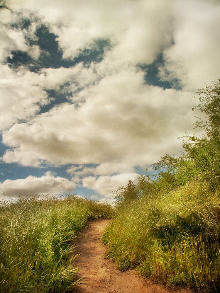 Art Print: River Park