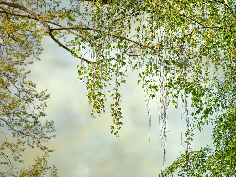 Art Print: Summer Afternoon