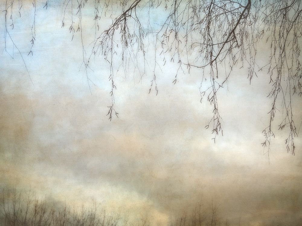 Art Print: Winter Dusk