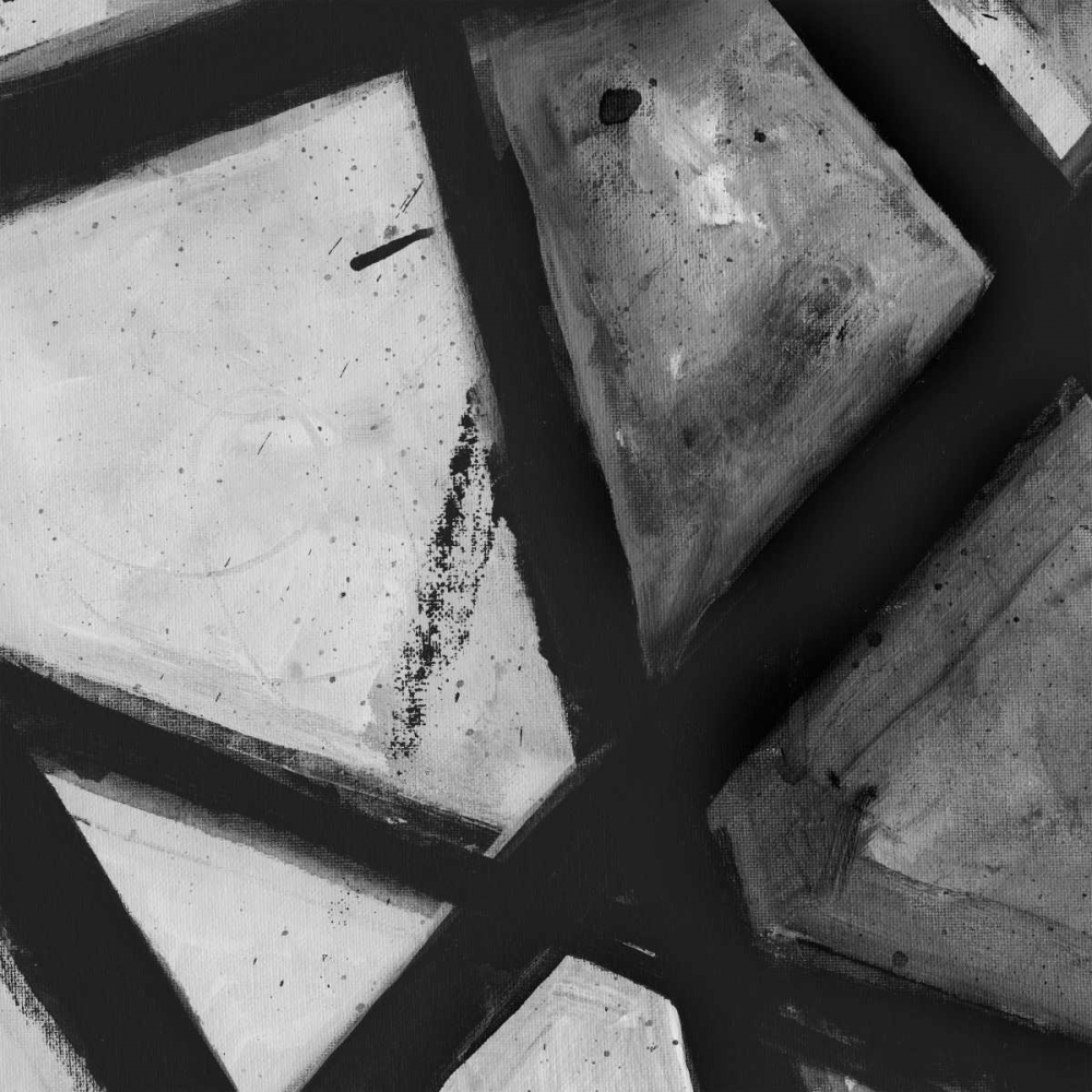 Wall art: Through The Webbing BW 1, by Haynes, Smith