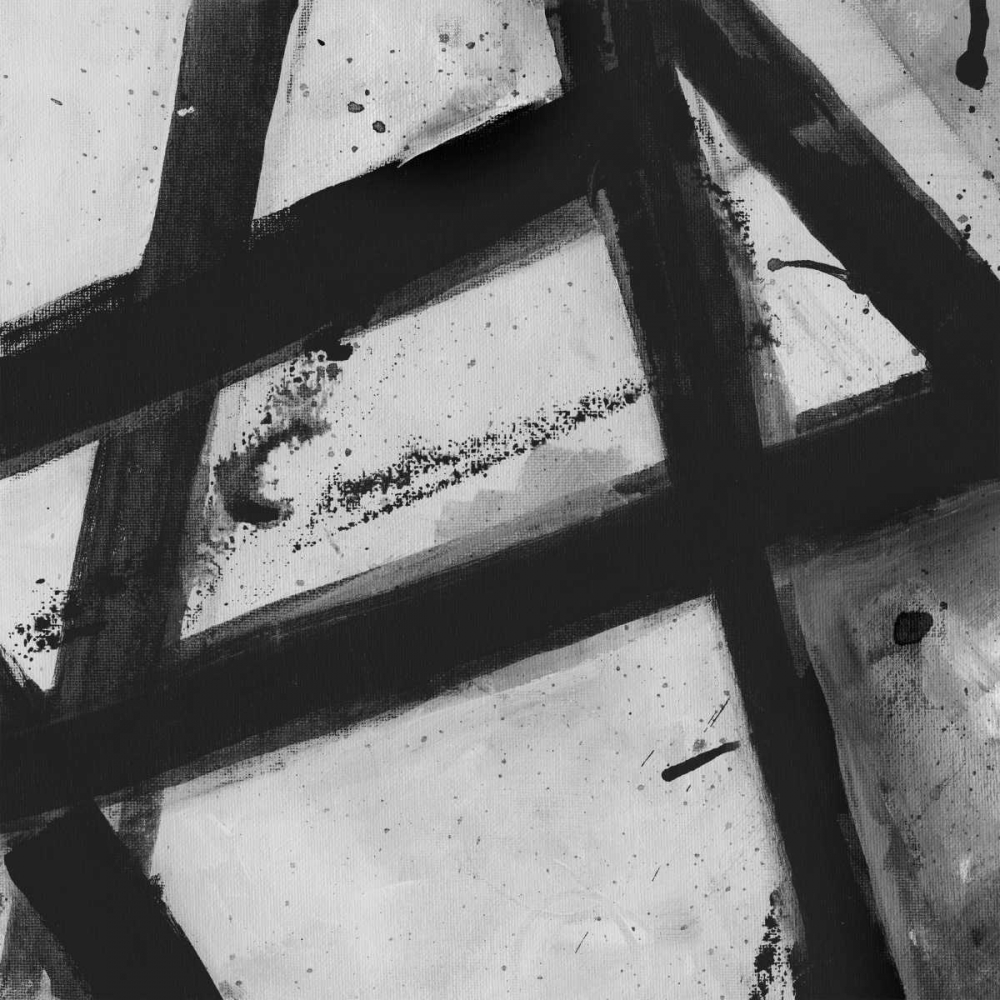 Wall art: Through The Webbing BW 2, by Haynes, Smith