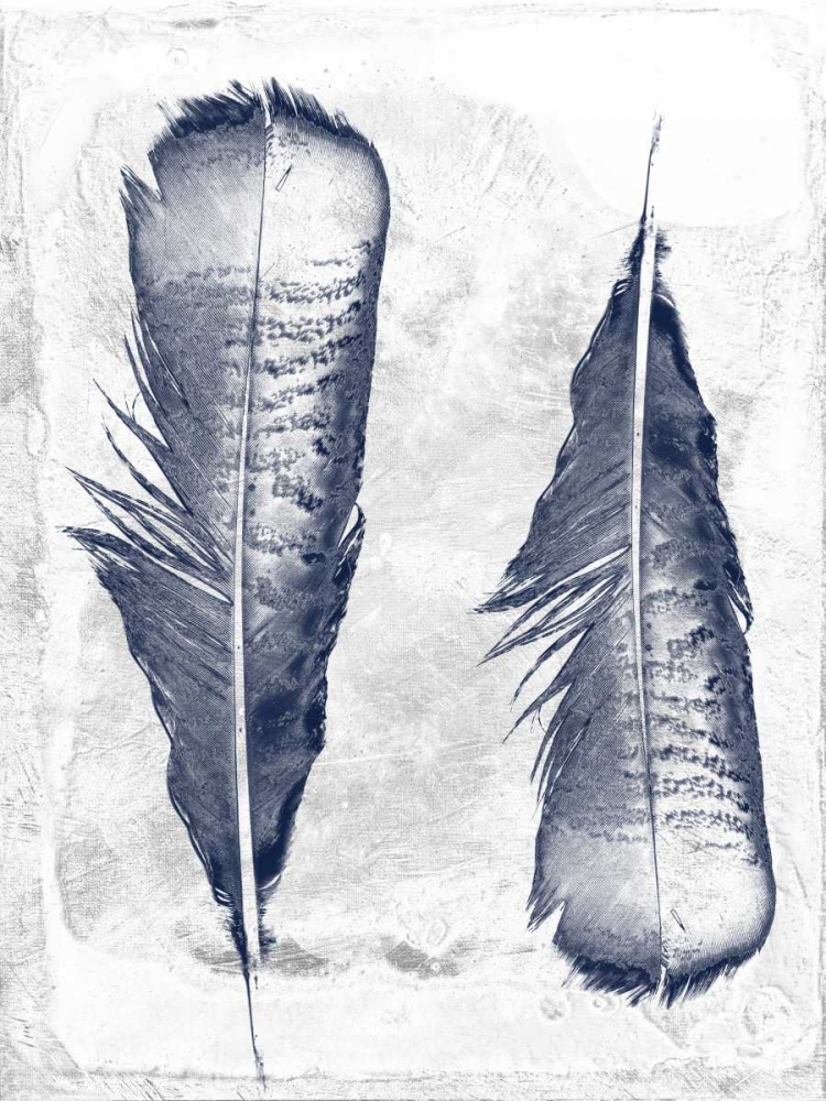 Wall art: Feather Duo, by Lewis, Sheldon