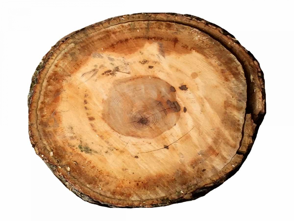 Art Print: Earthy Rings Of Ages