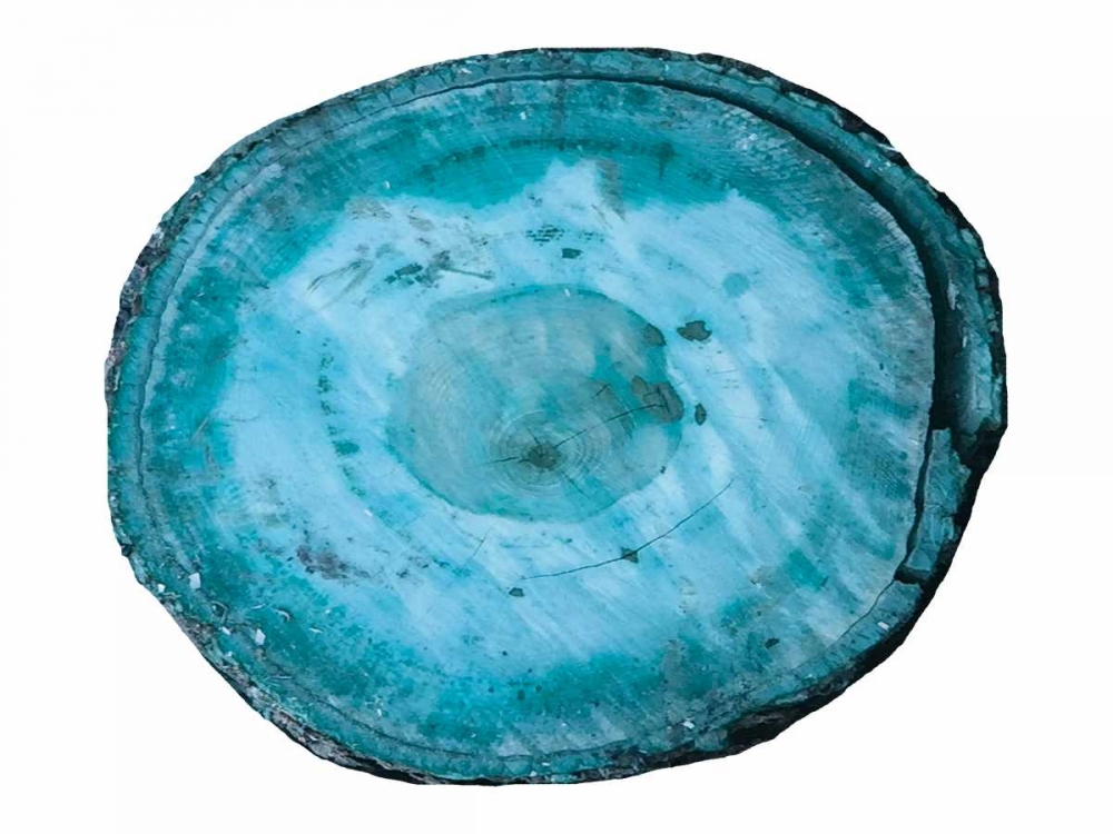 Art Print: Rings Of Ages