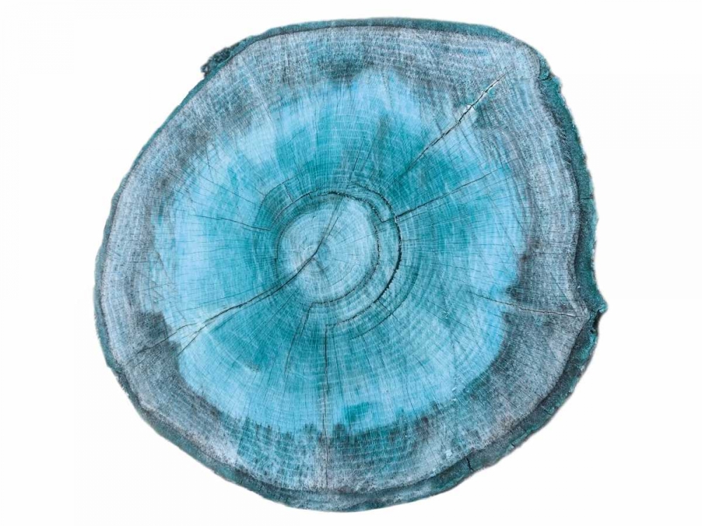 Art Print: Rings Of Ages 2