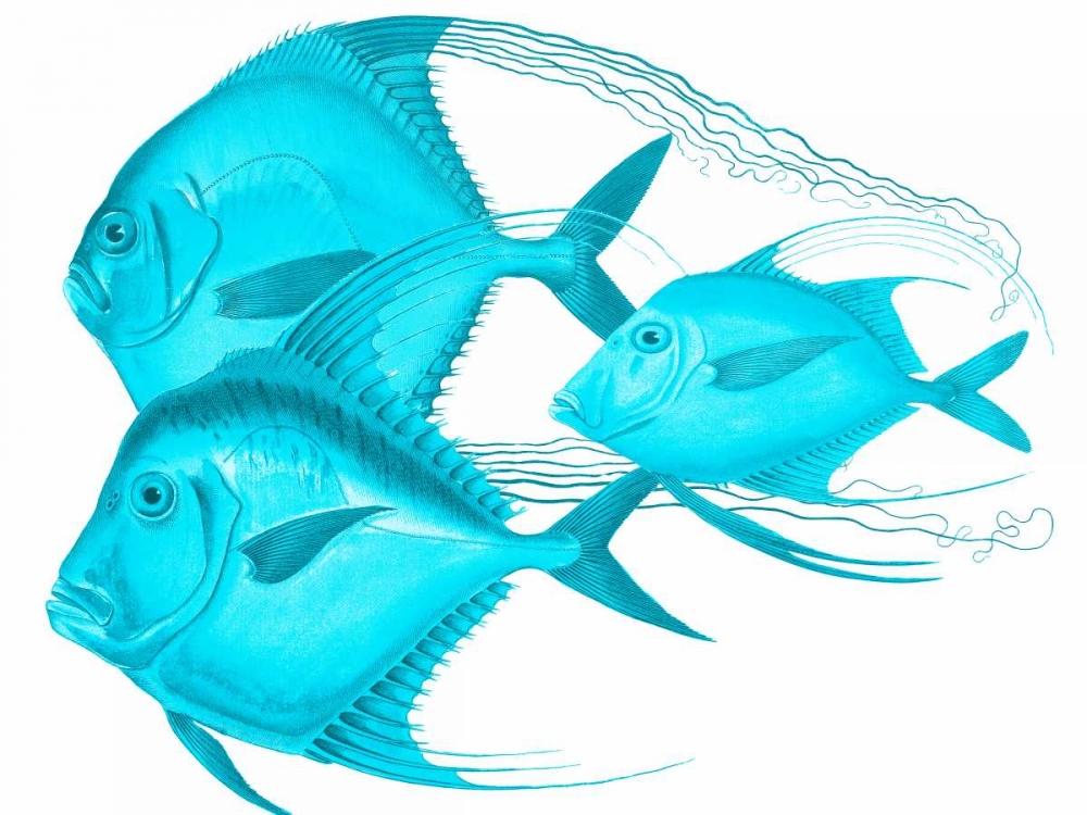 Wall Art Painting id:106948, Name: Angels Of The Deep, Artist: Lewis, Sheldon