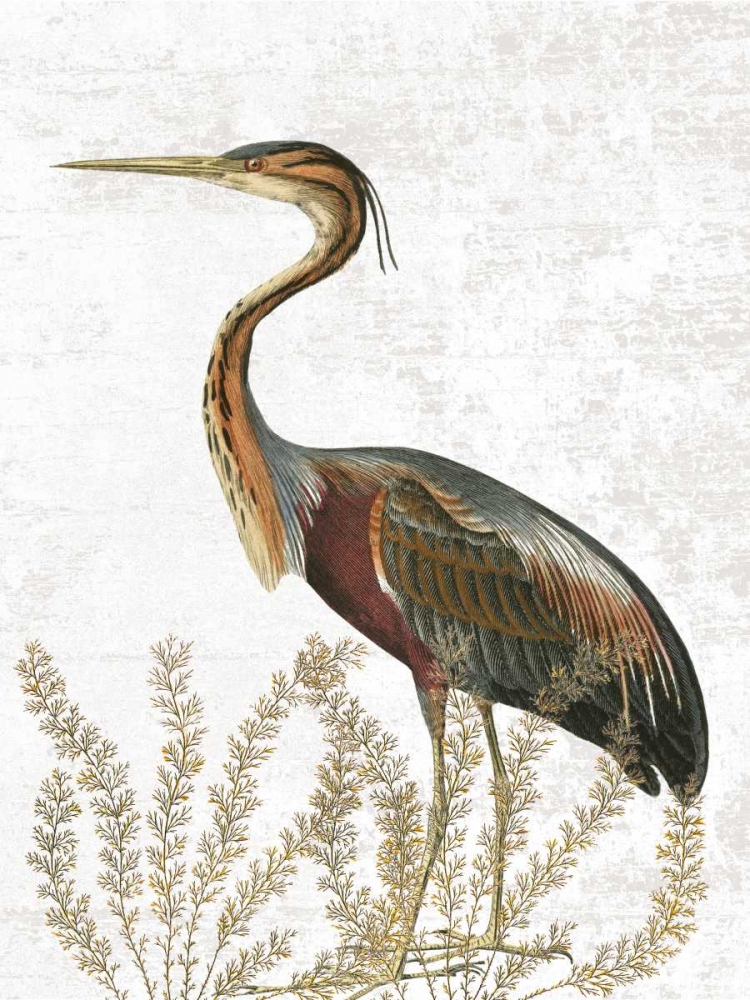 Wall Art Painting id:126003, Name: Bird In The Field, Artist: Lewis, Sheldon