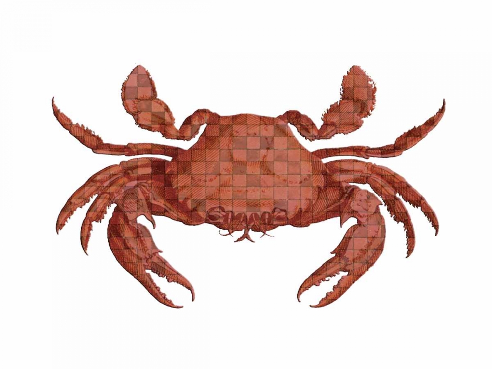 Wall Art Painting id:138593, Name: Crustation Pattern 2, Artist: Lewis, Sheldon