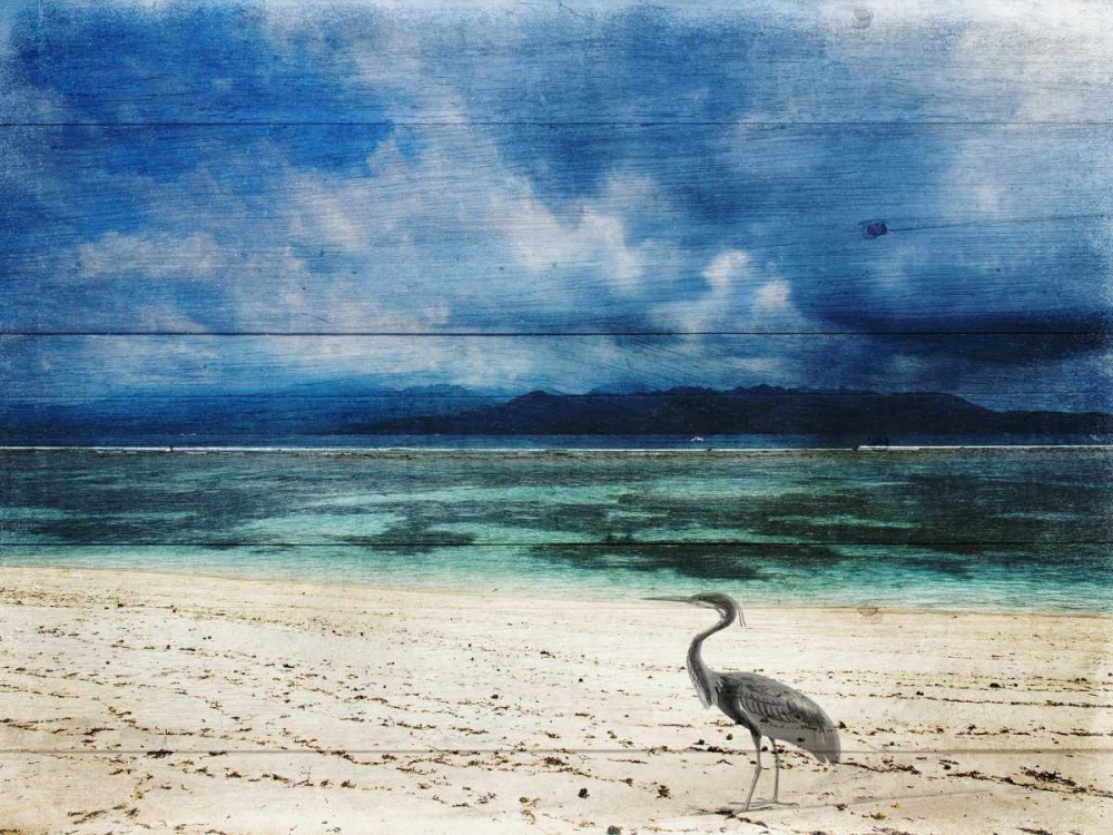 Wall Art Painting id:152751, Name: Coastal 2, Artist: Lewis, Sheldon