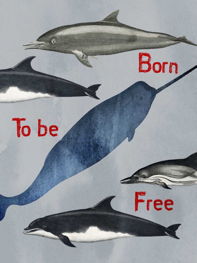 Wall Art Painting id:162431, Name: Born To Be Free, Artist: Lewis, Sheldon