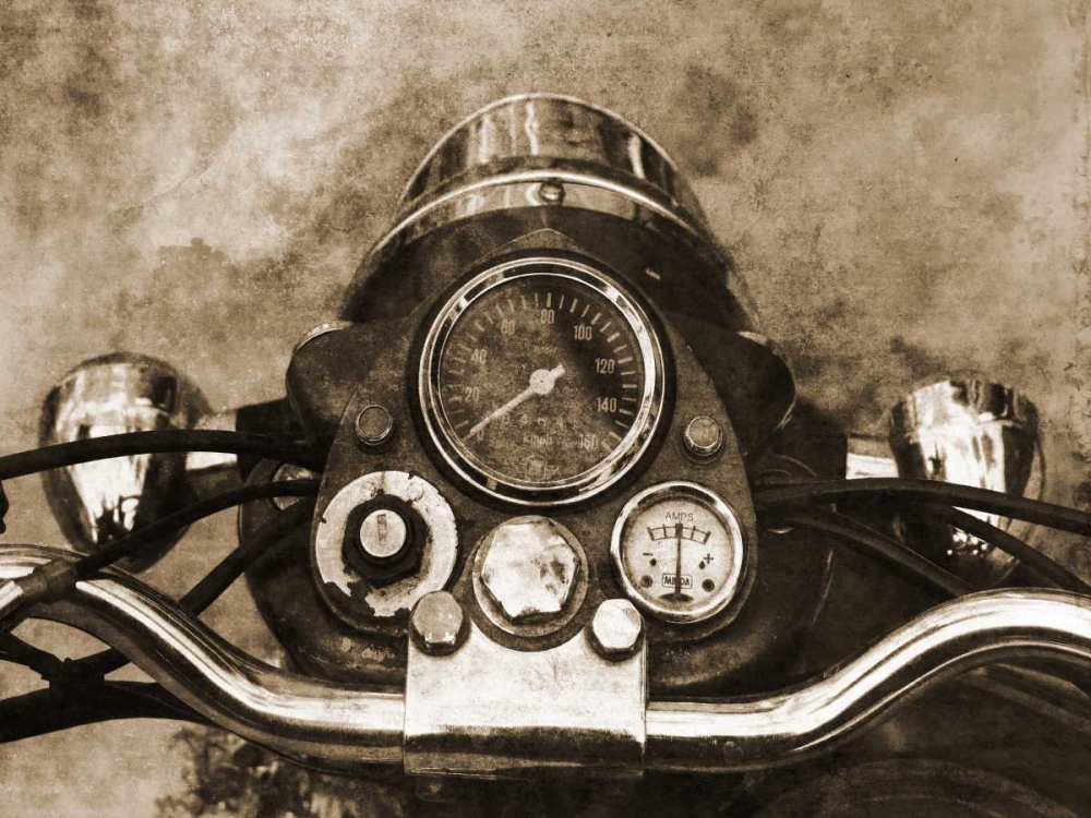 Wall art: Ride It, by Lewis, Sheldon