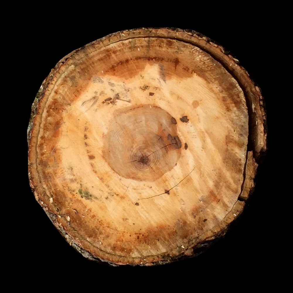 Art Print: Dark Rings Of Ages