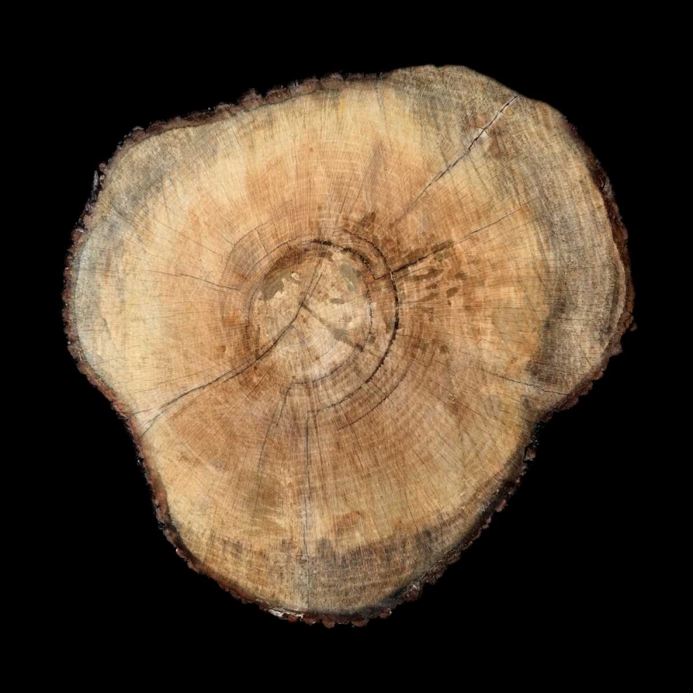 Art Print: Dark Rings Of Ages 3