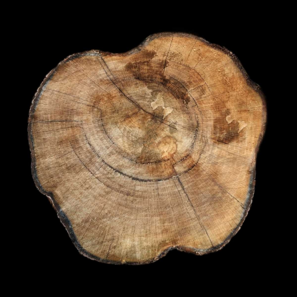 Art Print: Dark Rings Of Ages 5