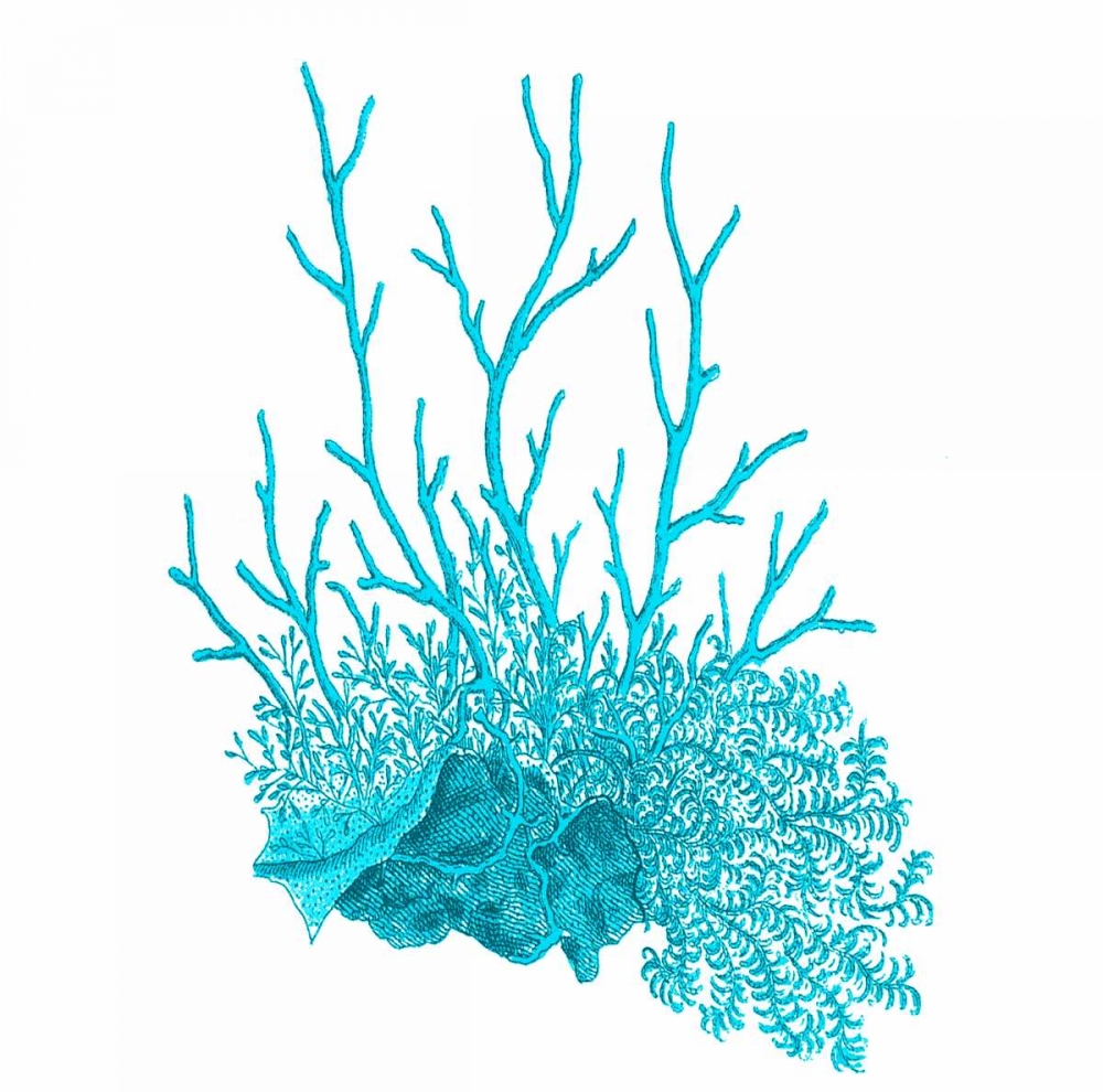 Wall Art Painting id:106976, Name: Blue Coral 2, Artist: Lewis, Sheldon