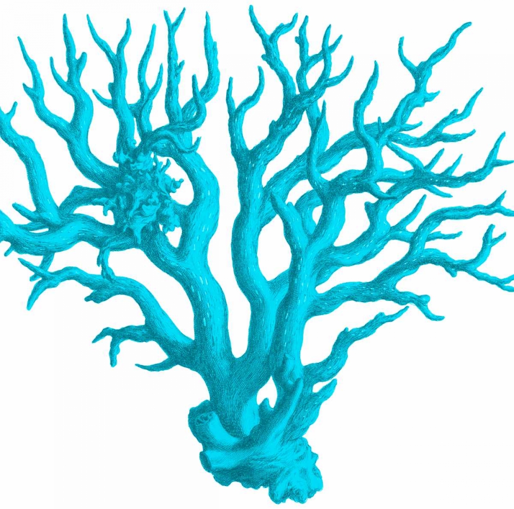 Wall Art Painting id:106977, Name: Blue Coral 3, Artist: Lewis, Sheldon